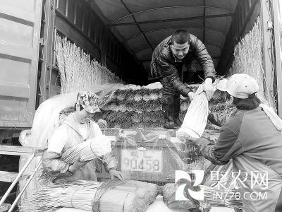 北京新發地：蔬菜價格高位運行