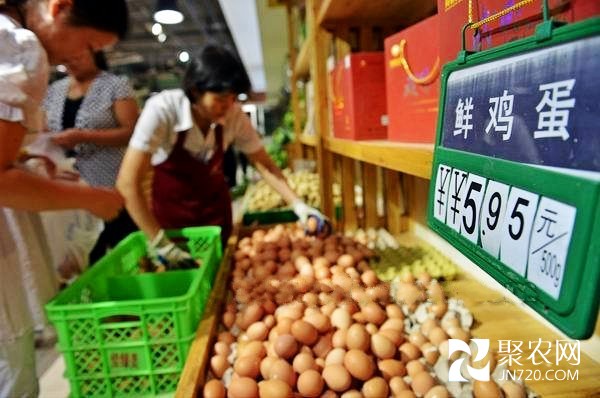 去年9月中旬以來全國雞蛋價格降幅超25%