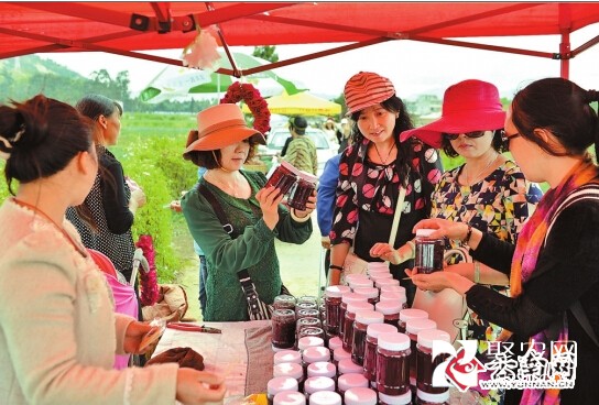 花賤傷農 豐產難豐收的怪圈 云南昆明八街玫瑰花飛何處