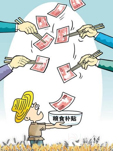 聚焦種糧補貼落地難:每畝補貼160元到手僅10元