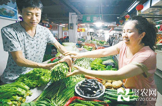 遼寧沈陽“地產菜”批量上市 菜價集體“退燒”