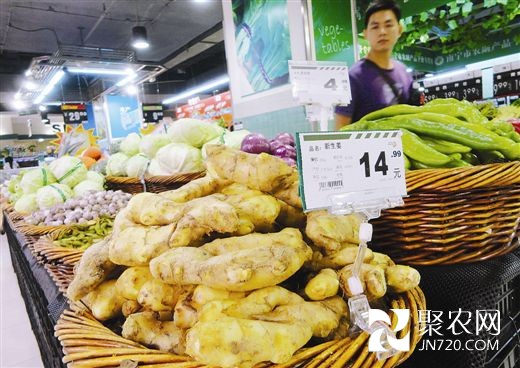 5月初以來全國生姜價格止漲趨穩