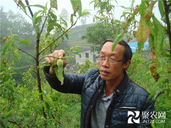 致富能手史開陽：敢教荒山變桃源