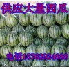 山東西瓜產(chǎn)地供應(yīng)優(yōu)質(zhì)西瓜