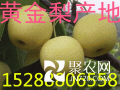 QQ圖片20150720153803_副本