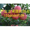 15266669339果農(nóng)出售紅將軍蘋果