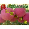 銷售山東蘋果價(jià)格趨勢(shì) 紙袋紅富士蘋果現(xiàn)價(jià)