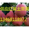 山東紅富士13468118977蘋(píng)果批發(fā)價(jià)格