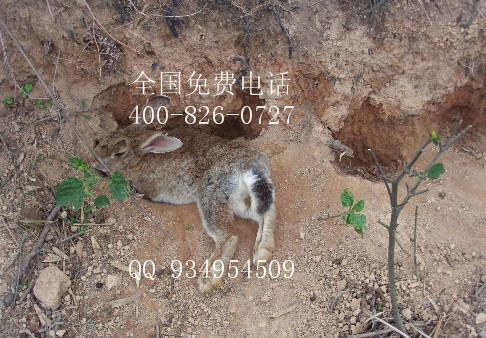 特種經濟動物養殖基地