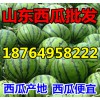 １８７６４９５８２２２油桃/山東蘋果/甜瓜/西瓜產(chǎn)地價格