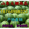 １８７６４９５８２２２油桃批發(fā)產(chǎn)地/山東蘋果/甜瓜/西瓜價格