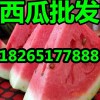 【浙江優(yōu)質(zhì)京欣西瓜行情價(jià)格】