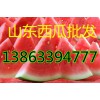 13863394777 低廉供應(yīng)優(yōu)質(zhì)京欣西瓜