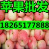 【近期山東優(yōu)質(zhì)嘎拉、美八蘋(píng)果價(jià)格】