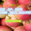 八月份蘋果價(jià)格美八嘎啦蘋果行情