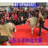 養(yǎng)殖100只小尾寒羊政府給補(bǔ)貼多少？