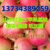 最新山東蘋(píng)果價(jià)格行情 山東紅富士蘋(píng)果批發(fā)價(jià)格