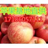 17186057111優(yōu)質(zhì)紅富士蘋(píng)果基地新報(bào)價(jià)