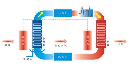 山楂片烘干房，山楂片烘干生產(chǎn)線，大連樂(lè)樂(lè)家