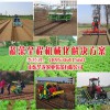 小行距移栽機|華龍機械提供優惠的蔬菜移栽機