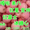 山東嘎啦蘋果批發(fā)價(jià)格