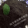 羊糞價格 河北優質羊糞批發 羊糞有機肥 果蔬通用肥