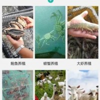 山東展鵬網(wǎng)業(yè)集團有限公司與您相約2021廣州漁博會