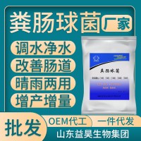 100億水產養殖用糞腸球菌改善腸道調水凈水魚蝦蟹特種養殖