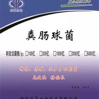 供應(yīng)10億-1000億糞腸球菌 飼料添加微生物菌